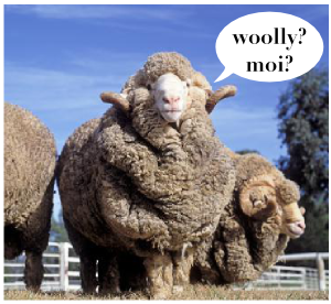 Woolly rams