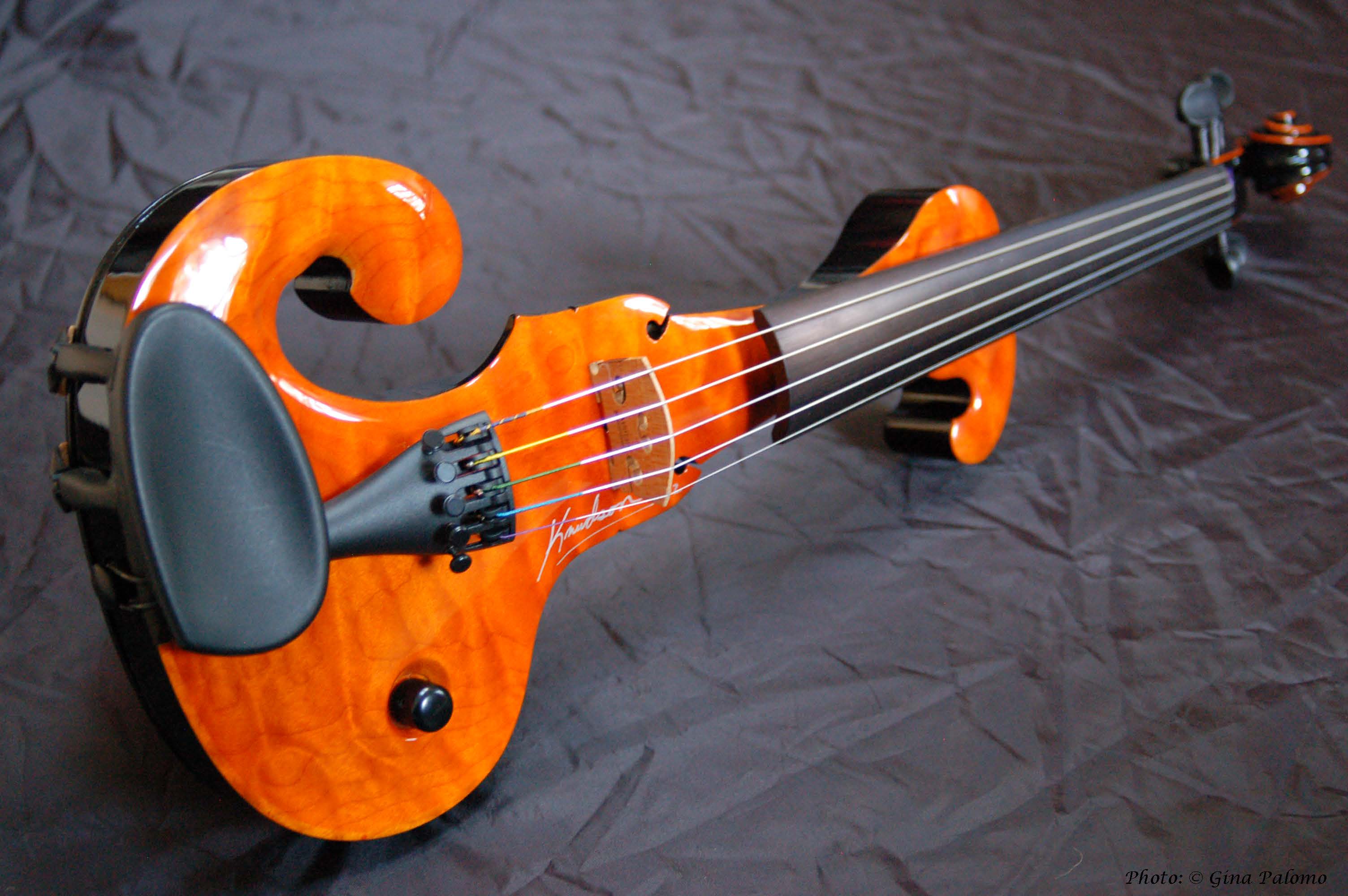Growth in the Market of Electric Violins